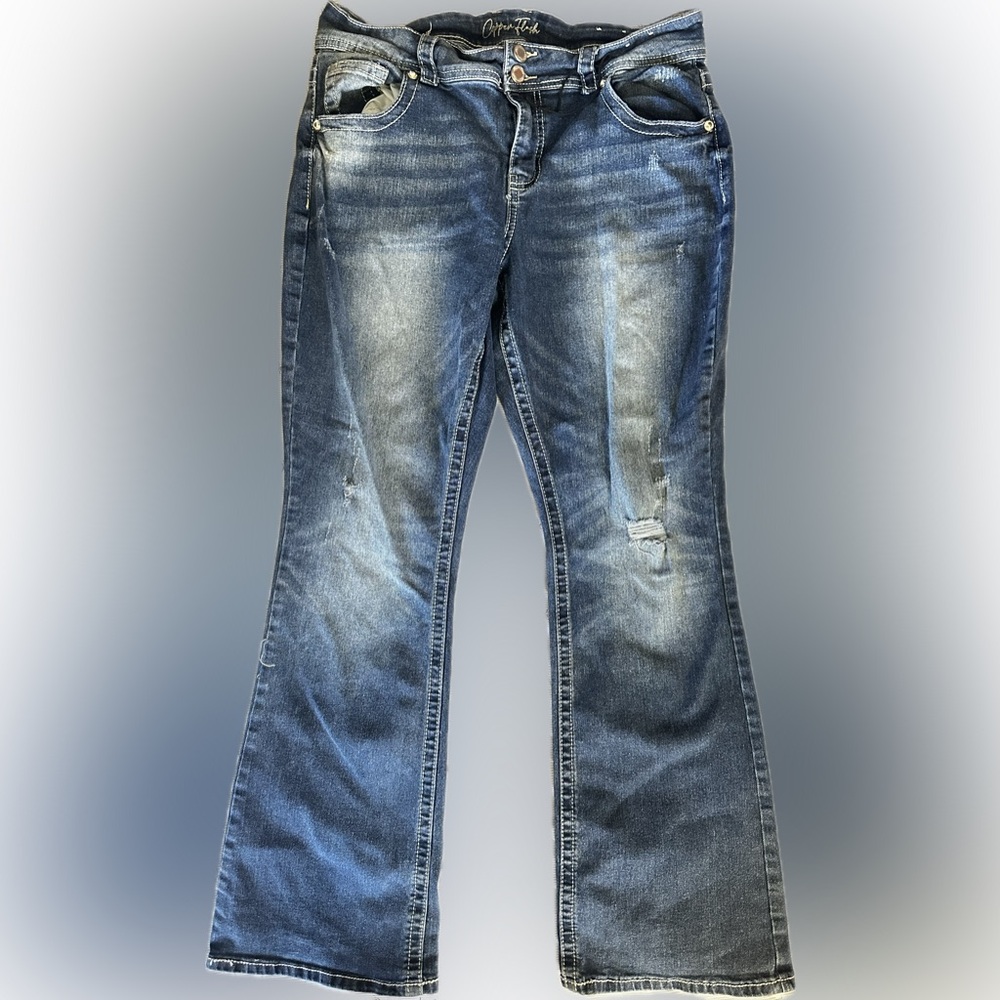 Copper Flesh Classic Blue Flare Jeans